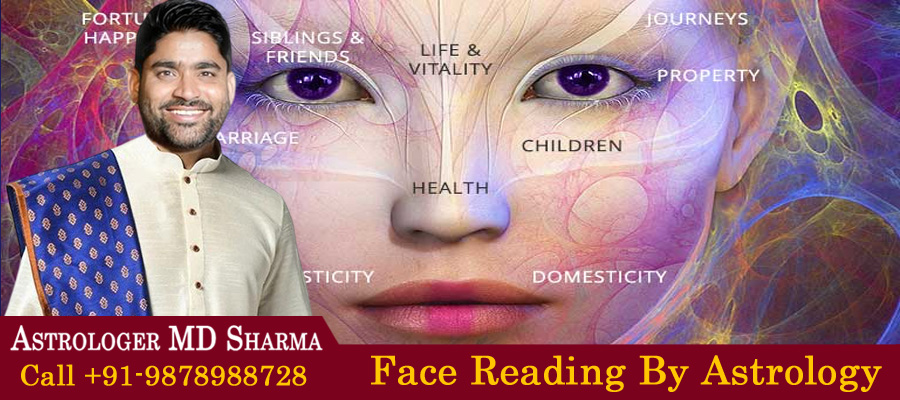 Face Reading Specialist