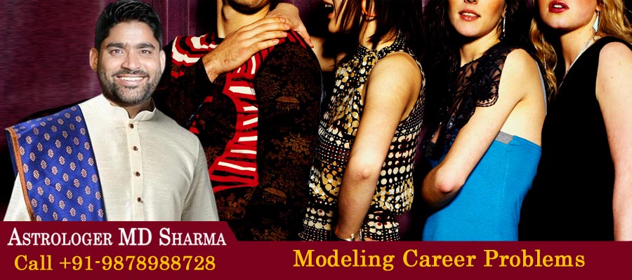 Modeling Career Problems