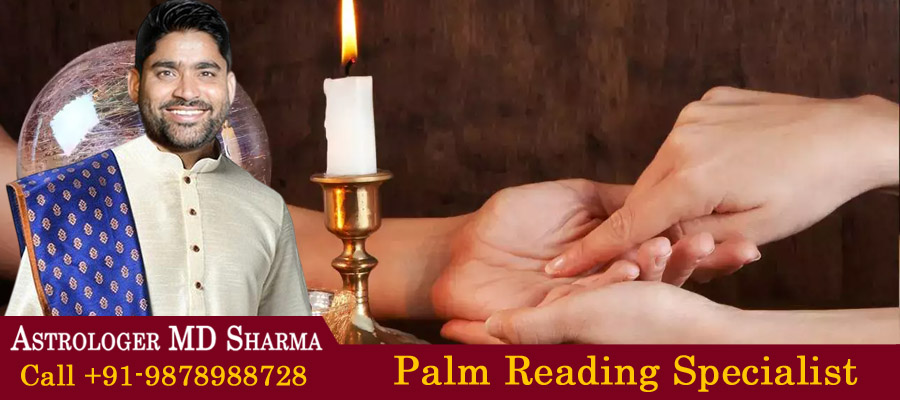 Palm Reading Specialist