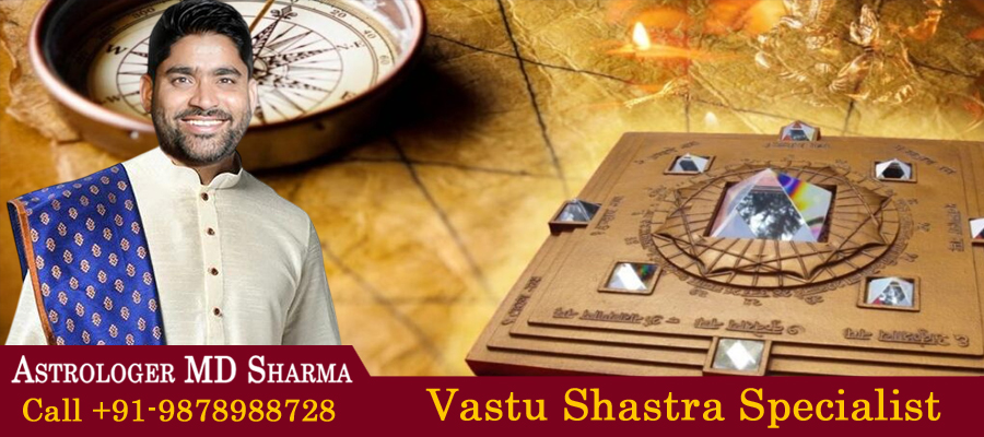 Vastu Shastra Specialist